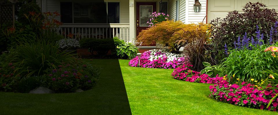 New Providence Landscapers