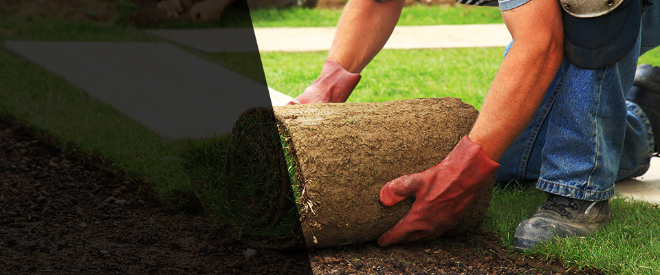 New Providence Landscapers